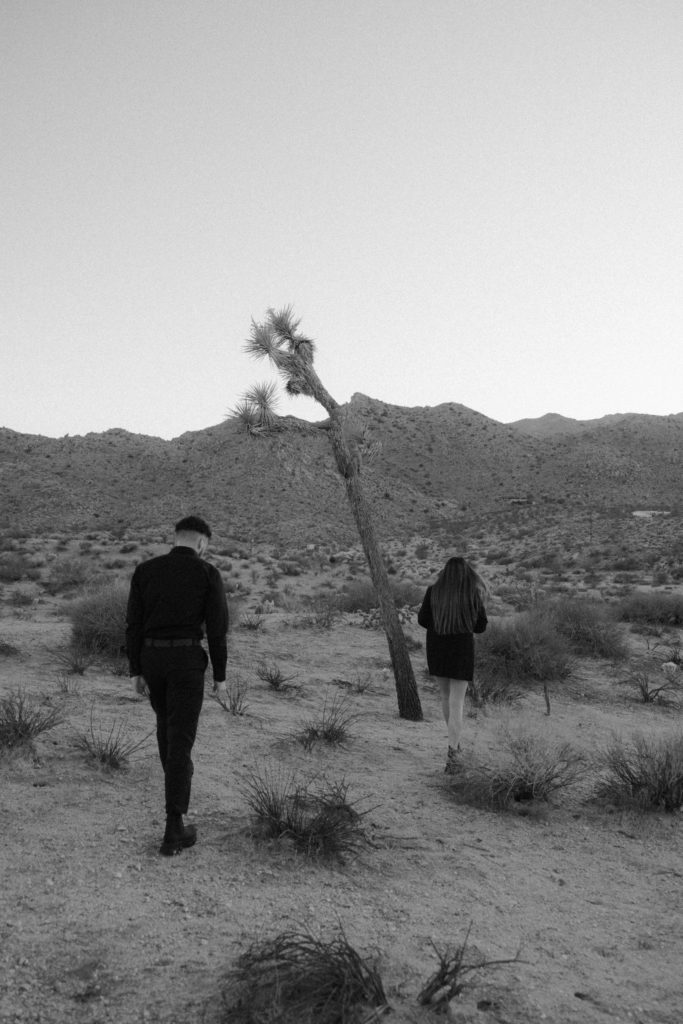 golden california engagement session Socal elopement photographer socal wedding photographer national parks elopement photographer national park elopement session joshua tree engagement joshua tree elopement edgy joshua tree engagement 