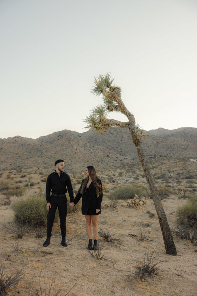 golden california engagement session Socal elopement photographer socal wedding photographer national parks elopement photographer national park elopement session joshua tree engagement joshua tree elopement edgy joshua tree engagement 