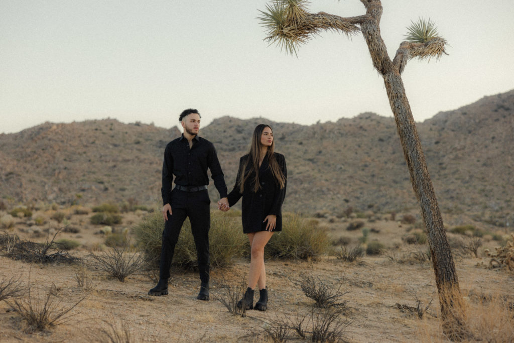 golden california engagement session Socal elopement photographer socal wedding photographer national parks elopement photographer national park elopement session joshua tree engagement joshua tree elopement edgy joshua tree engagement 