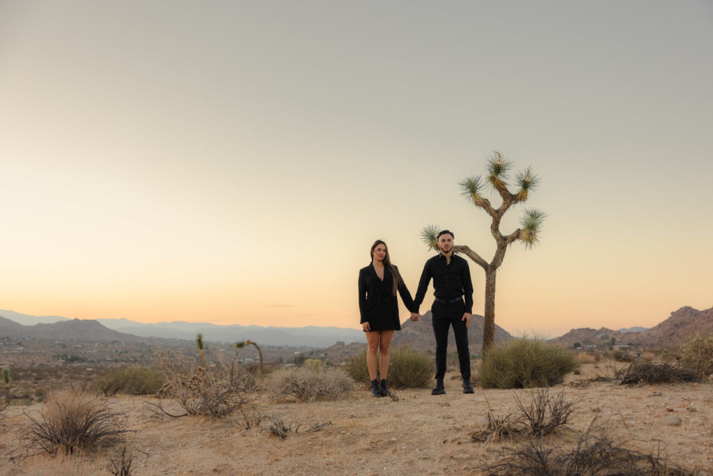 golden california engagement session Socal elopement photographer socal wedding photographer national parks elopement photographer national park elopement session joshua tree engagement joshua tree elopement edgy joshua tree engagement 