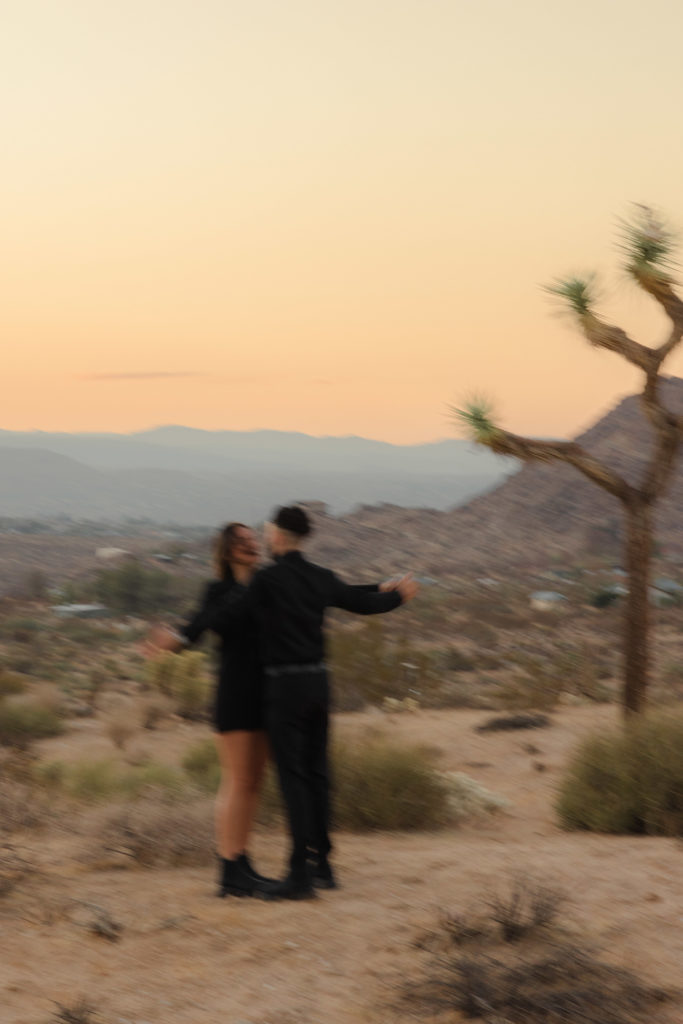 golden california engagement session Socal elopement photographer socal wedding photographer national parks elopement photographer national park elopement session joshua tree engagement joshua tree elopement edgy joshua tree engagement sunset joshua tree engagement sunset joshua tree elopement