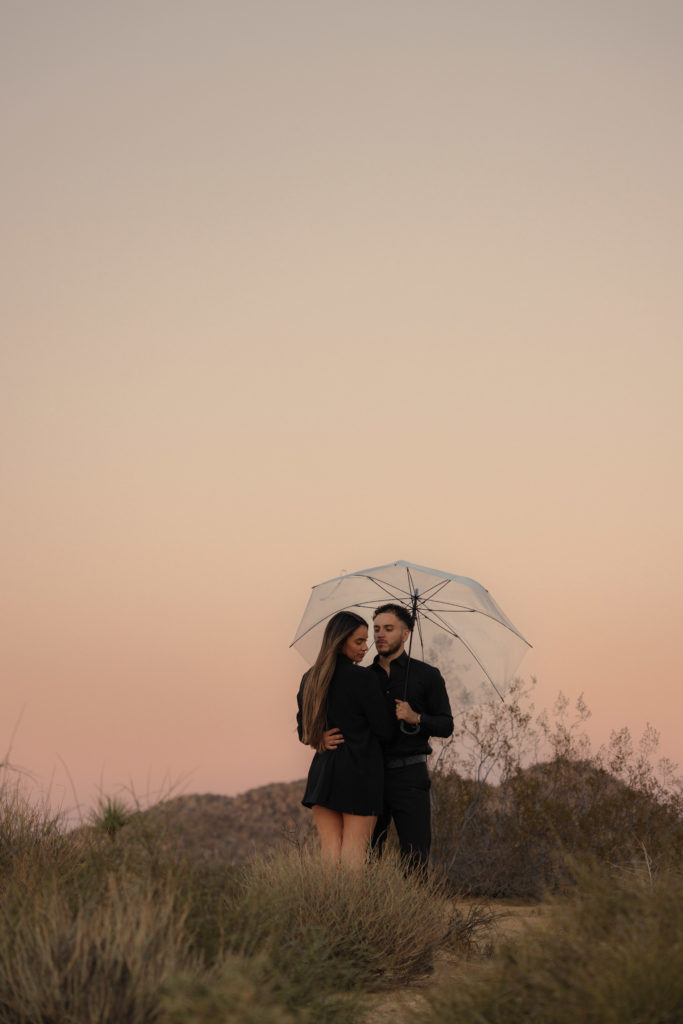 golden california engagement session Socal elopement photographer socal wedding photographer national parks elopement photographer national park elopement session joshua tree engagement joshua tree elopement edgy joshua tree engagement sunset joshua tree engagement sunset joshua tree elopement