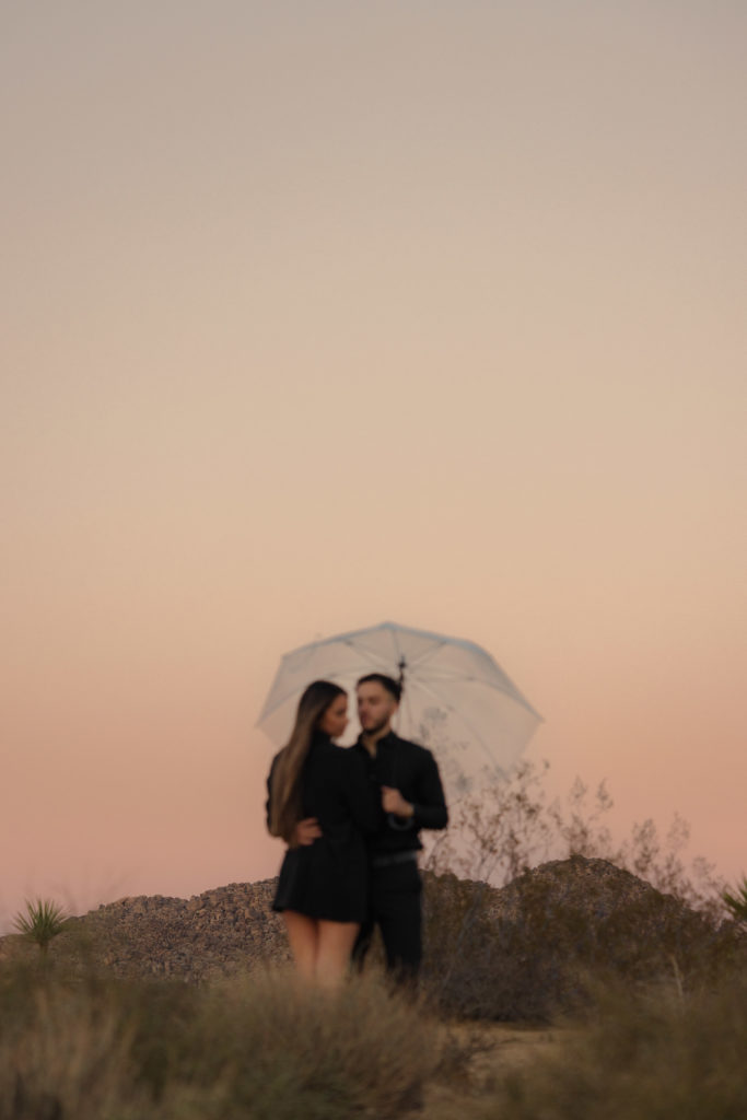 golden california engagement session Socal elopement photographer socal wedding photographer national parks elopement photographer national park elopement session joshua tree engagement joshua tree elopement edgy joshua tree engagement sunset joshua tree engagement sunset joshua tree elopement