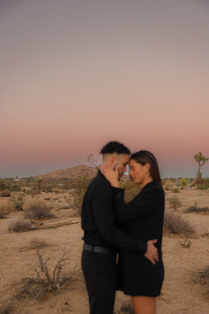 golden california engagement session Socal elopement photographer socal wedding photographer national parks elopement photographer national park elopement session joshua tree engagement joshua tree elopement edgy joshua tree engagement sunset joshua tree engagement sunset joshua tree elopement