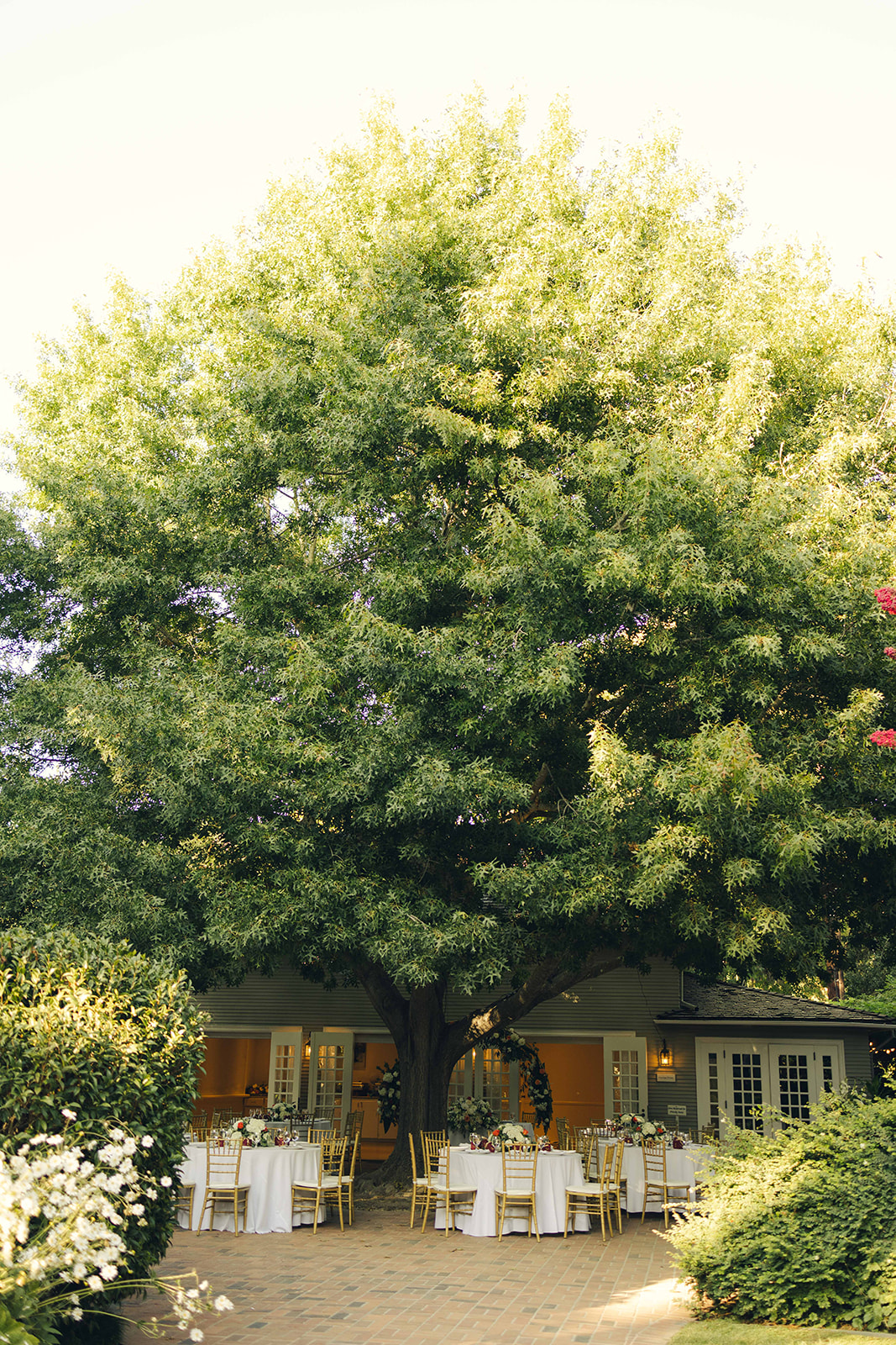 Gamble Garden Cocktail Hour Wedding Palo Alto California Wedding Photographer Reception Space under Tree