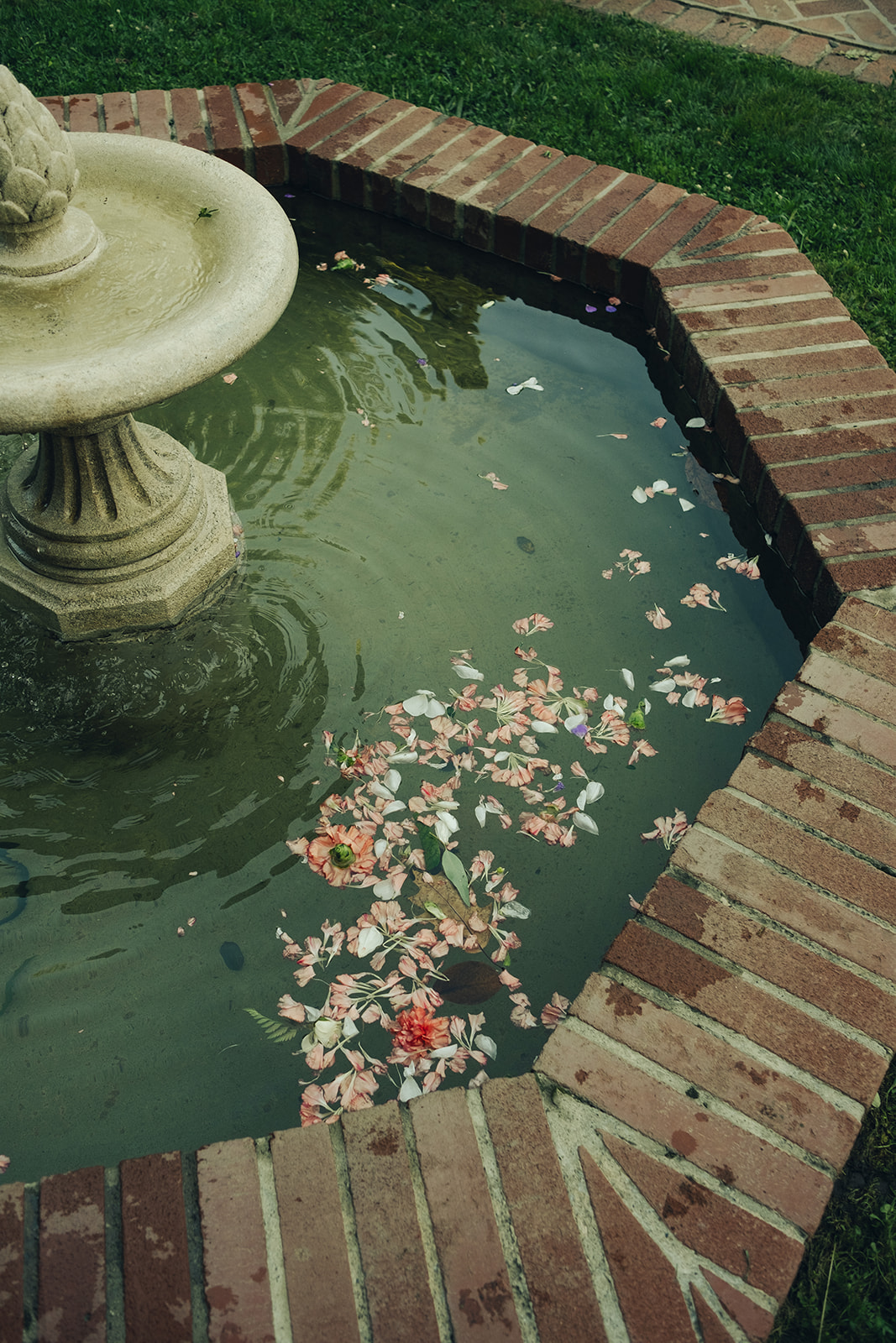 Gamble Garden Wedding Venue Photos California Wedding Photographer Flowers in Water Fountain