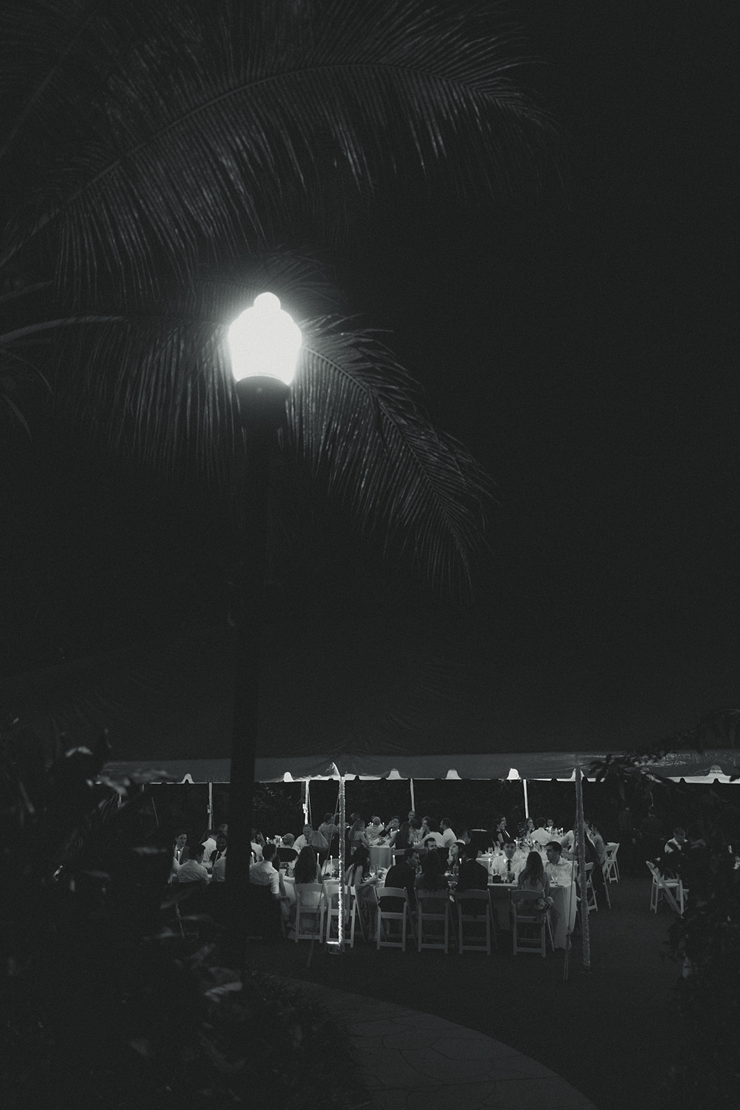 Tented Reception Space Sunken Gardens in St.Petersburg at Night in Black and White