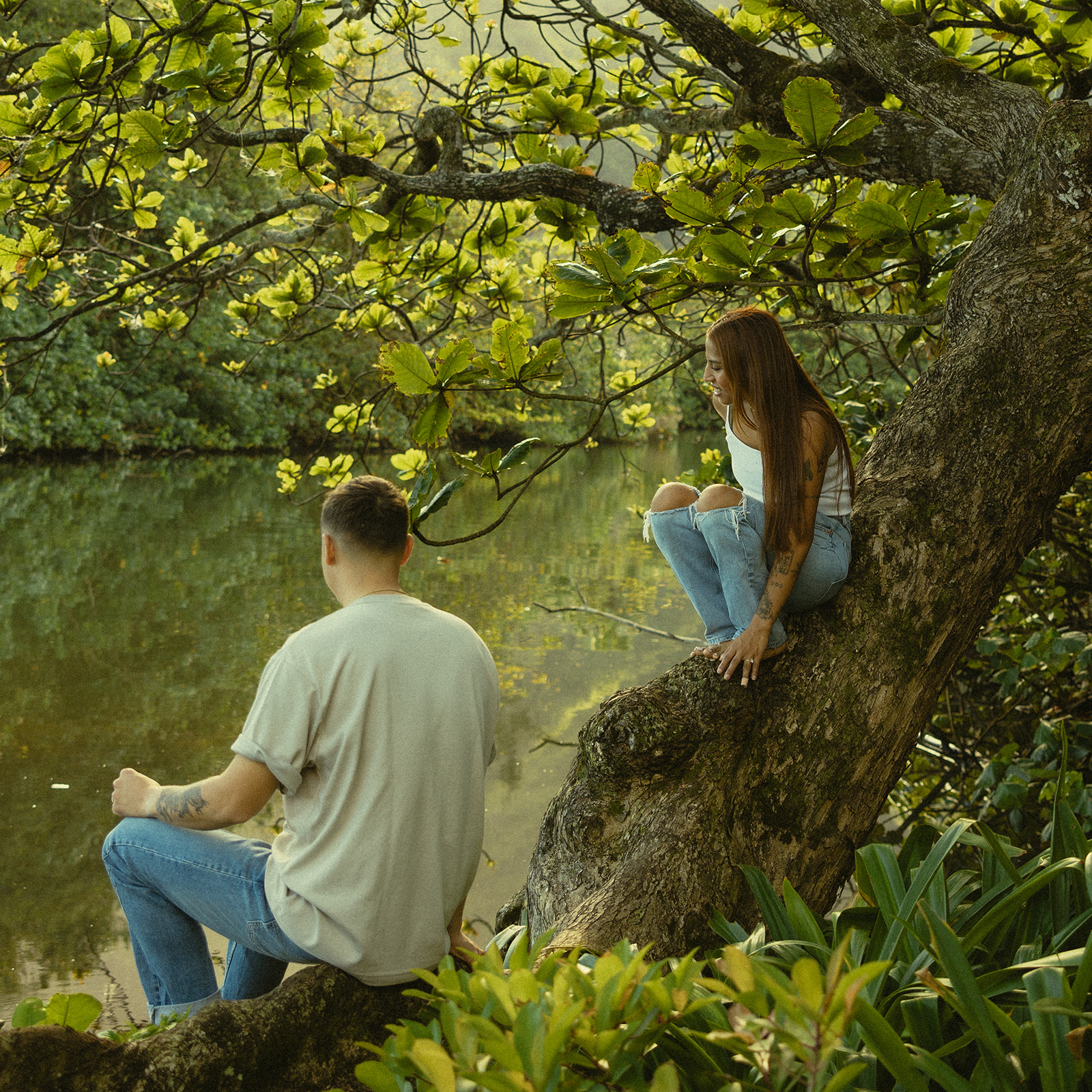 Lush Lakeside Mountains Oahu Hawaii Engagement Pictures Climbing Trees Couple North Shore