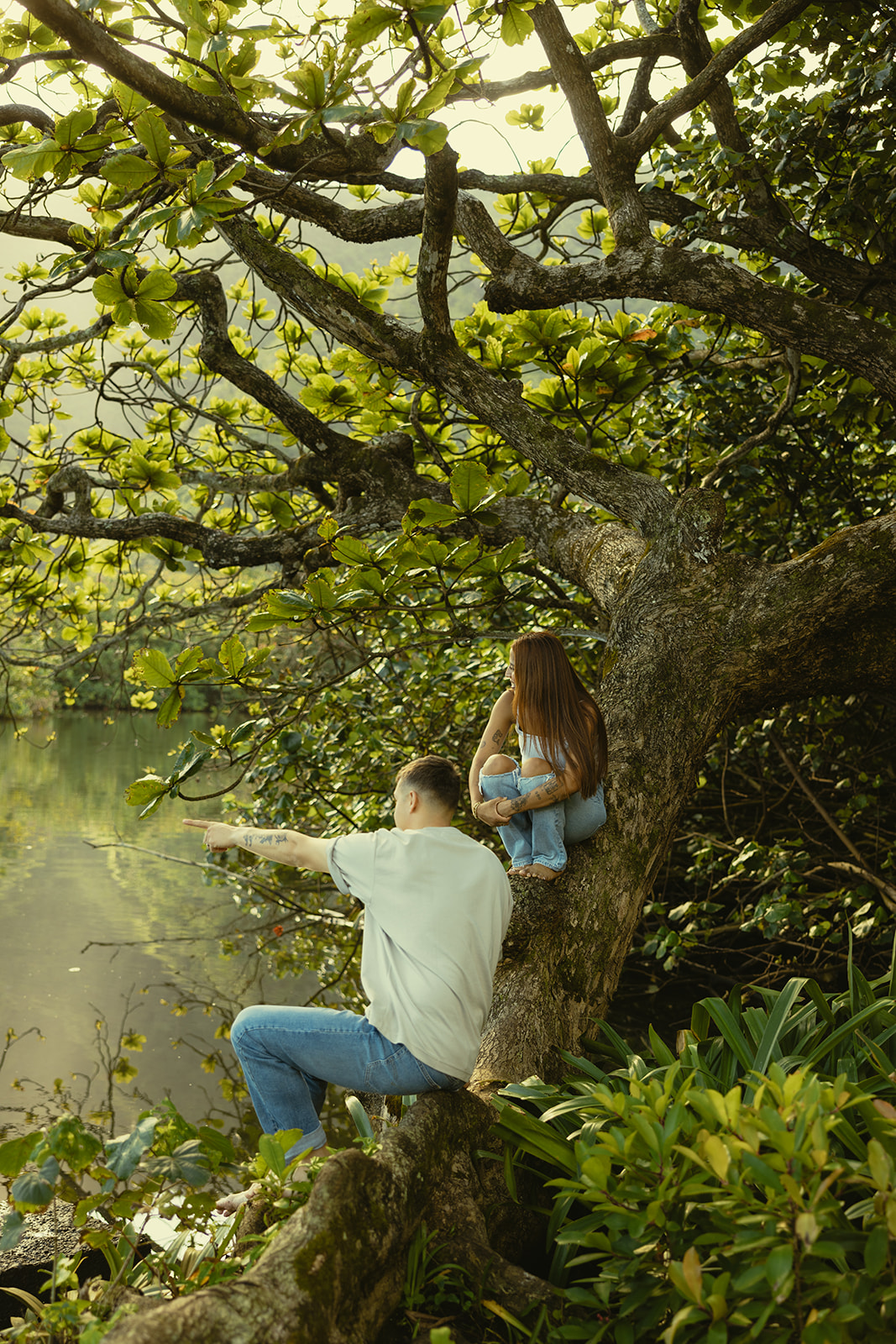 Lush Lakeside Mountains Oahu Hawaii Engagement Pictures Climbing Trees Couple North Shore