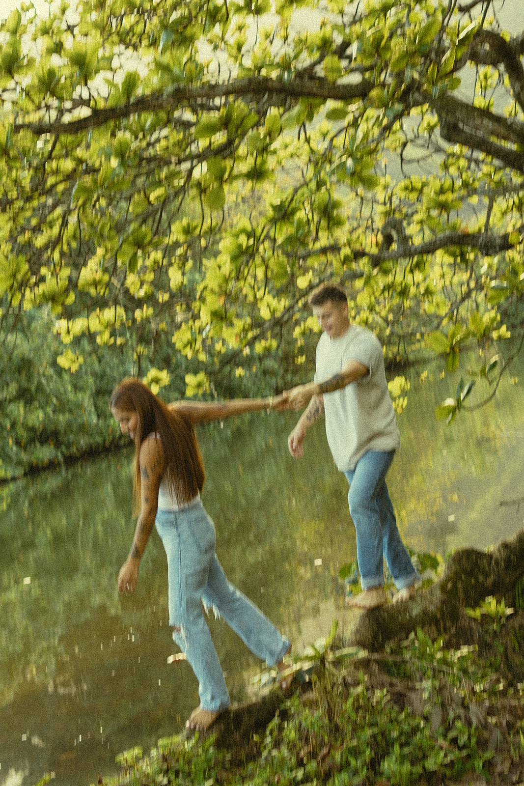 Lush Lakeside Mountains Oahu Hawaii Engagement Pictures Climbing Trees Couple North Shore