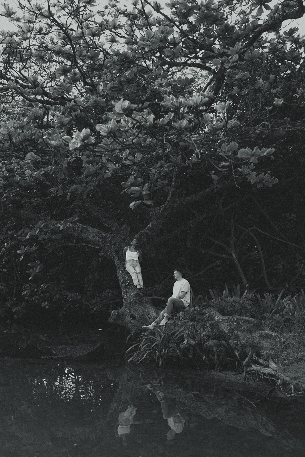 Lush Lakeside Mountains Oahu Hawaii Engagement Pictures Climbing Trees Couple North Shore Black and White