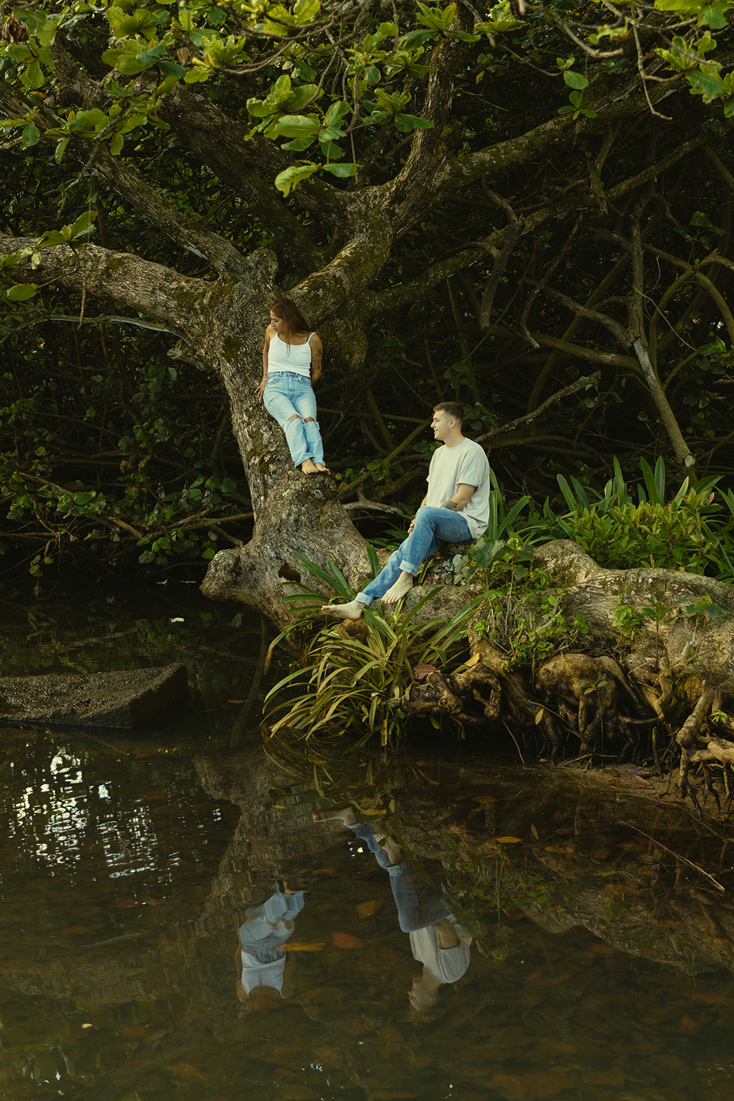 Lush Lakeside Mountains Oahu Hawaii Engagement Pictures Climbing Trees Couple North Shore