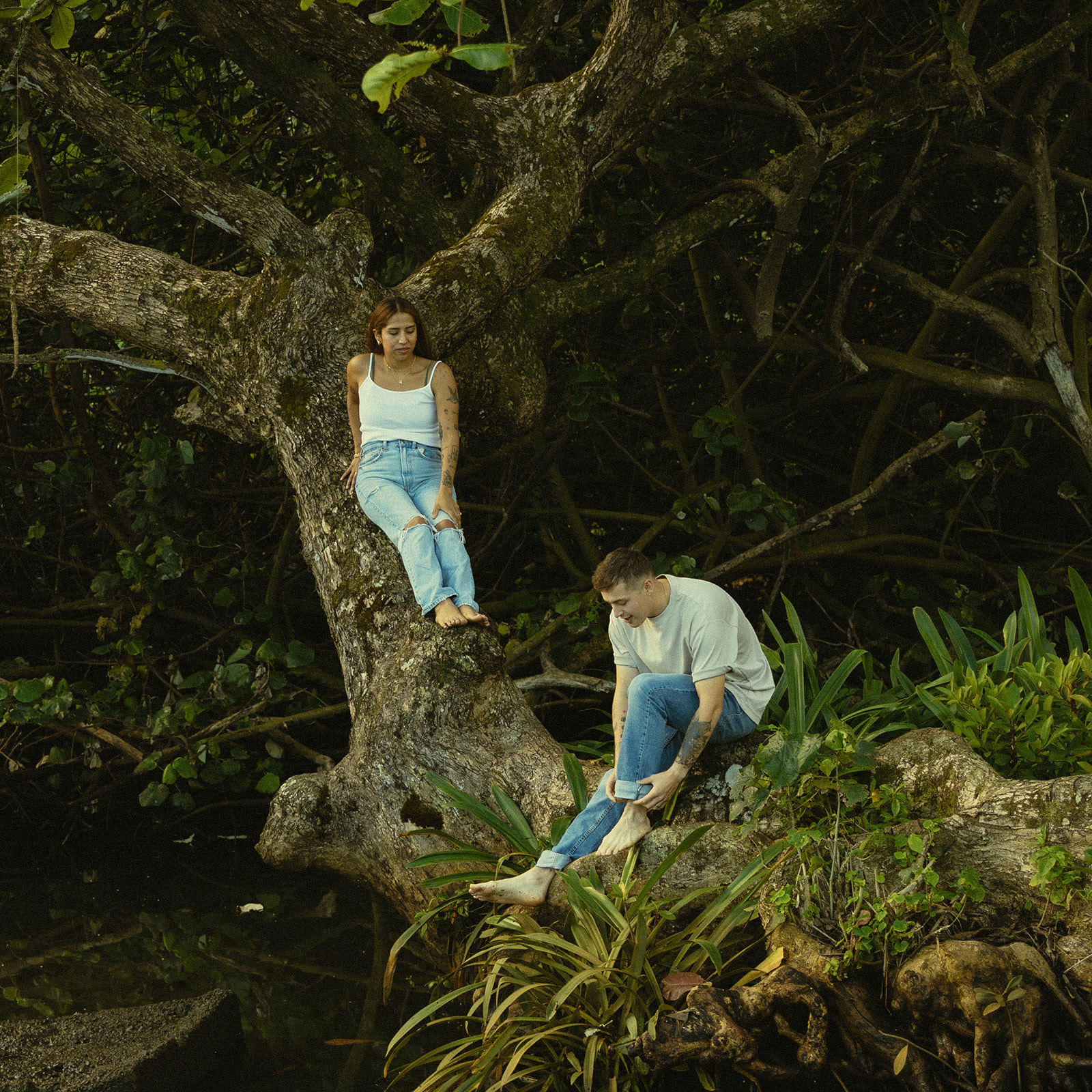 Lush Lakeside Mountains Oahu Hawaii Engagement Pictures Climbing Trees Couple North Shore