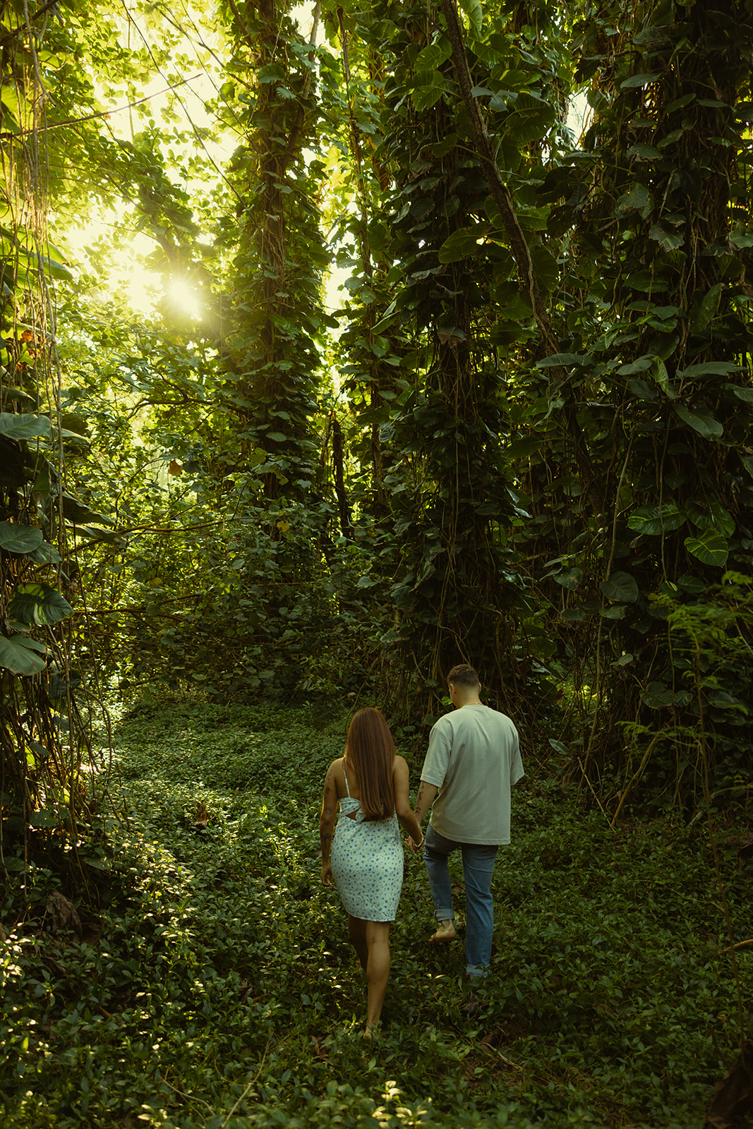 Lush Forest Oahu Hawaii Engagement Pictures Couples North Shore