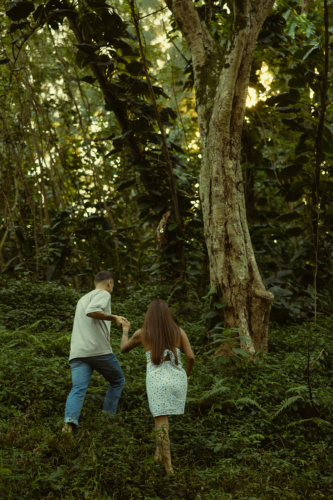 Lush Forest Oahu Hawaii Engagement Pictures Couple North Shore