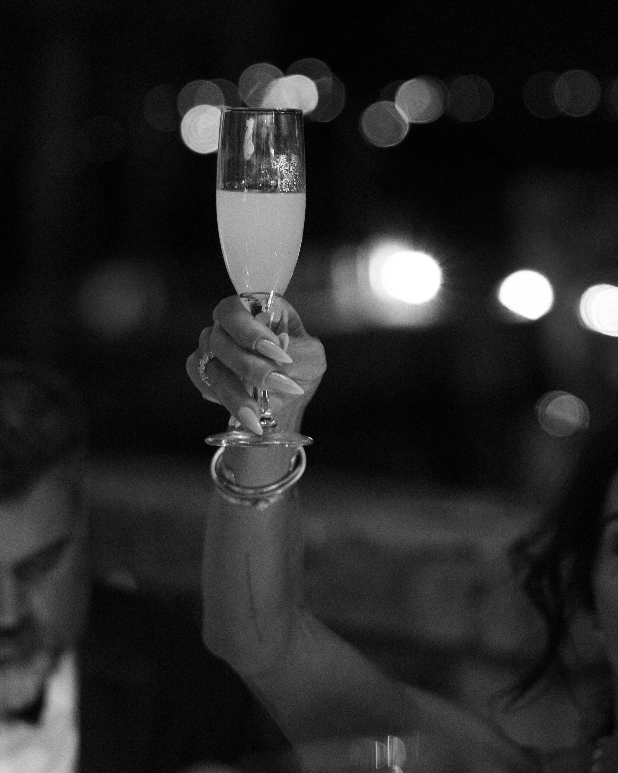 Vizcaya Museum and Garden Luxury Wedding